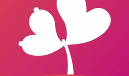 含羞草影视麻豆片,揭秘麻豆片背后的激情与魅力